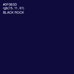 #0F0B3D - Black Rock Color Image